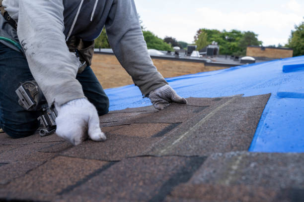 Best New Roof Installation  in Fort Washakie, WY