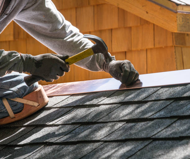 Best Roof Gutter Cleaning  in Fort Washakie, WY